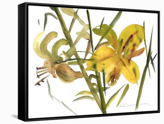 Lilies, 1987-Claudia Hutchins-Puechavy-Framed Stretched Canvas