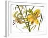 Lilies, 1987-Claudia Hutchins-Puechavy-Framed Giclee Print