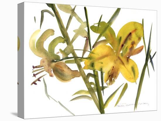 Lilies, 1987-Claudia Hutchins-Puechavy-Stretched Canvas