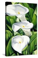 Lilies, 2002-Catherine Abel-Stretched Canvas