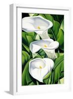 Lilies, 2002-Catherine Abel-Framed Giclee Print