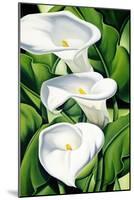 Lilies, 2002-Catherine Abel-Mounted Giclee Print