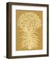 Lilies 20-Botanical Series-Framed Art Print
