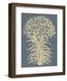 Lilies 2-Botanical Series-Framed Art Print