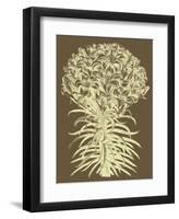 Lilies 3-Botanical Series-Framed Art Print