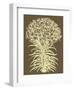 Lilies 3-Botanical Series-Framed Art Print