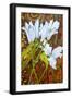 Lilies Against a Patterned Fabric-Joan Thewsey-Framed Giclee Print