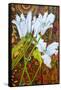 Lilies Against a Patterned Fabric-Joan Thewsey-Framed Stretched Canvas