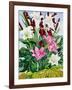 Lilies and Bullrushes-Christopher Ryland-Framed Giclee Print