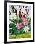 Lilies and Bullrushes-Christopher Ryland-Framed Giclee Print