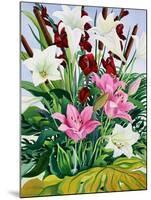 Lilies and Bullrushes-Christopher Ryland-Mounted Giclee Print