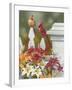 Lilies and Cardinals-William Vanderdasson-Framed Giclee Print