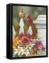 Lilies and Cardinals-William Vanderdasson-Framed Stretched Canvas