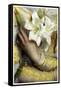 Lilies detail Gustav Pope 1895-Vintage Lavoie-Framed Stretched Canvas