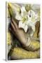 Lilies detail Gustav Pope 1895-Vintage Lavoie-Stretched Canvas