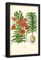 Lilies Flowers-null-Framed Poster