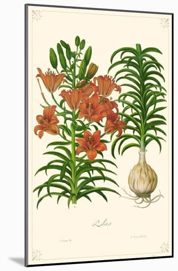 Lilies Flowers-null-Mounted Poster