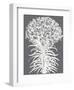 Lilies (Gray & Ivory)-Botanical Series-Framed Art Print