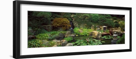 Lilies in a Pond at Japanese Garden, University of California, Los Angeles, California, USA-null-Framed Photographic Print