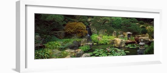 Lilies in a Pond at Japanese Garden, University of California, Los Angeles, California, USA-null-Framed Photographic Print