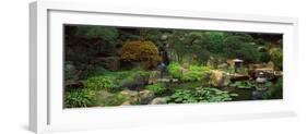 Lilies in a Pond at Japanese Garden, University of California, Los Angeles, California, USA-null-Framed Photographic Print