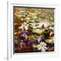 Lilies in Melbourne gardens-Mary Smith-Framed Giclee Print
