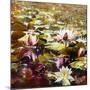 Lilies in Melbourne gardens-Mary Smith-Mounted Giclee Print