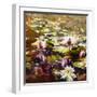 Lilies in Melbourne gardens-Mary Smith-Framed Giclee Print