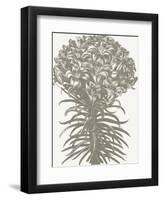 Lilies (Ivory & Burlap)-Botanical Series-Framed Art Print