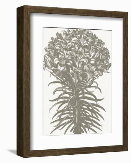 Lilies (Ivory & Burlap)-Botanical Series-Framed Art Print