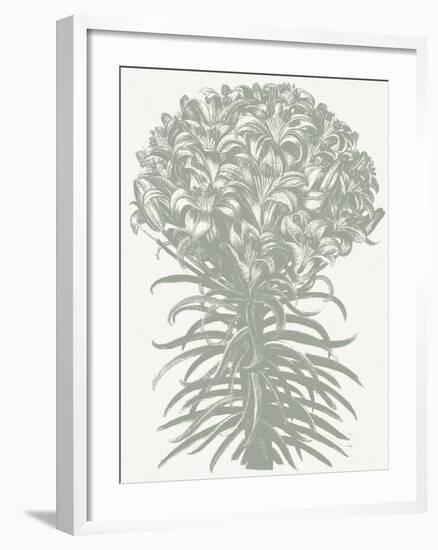 Lilies (Ivory & Sage)-Botanical Series-Framed Art Print