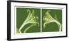 Lilies [Negative]-Steven N^ Meyers-Framed Art Print