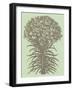 Lilies, no. 11-null-Framed Art Print