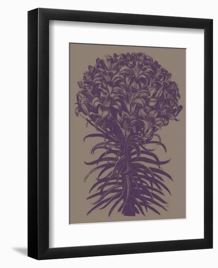 Lilies, no. 14-Botanical Series-Framed Giclee Print