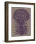 Lilies, no. 14-Botanical Series-Framed Giclee Print