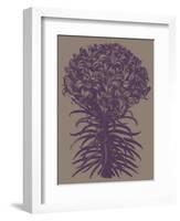 Lilies, no. 14-Botanical Series-Framed Giclee Print