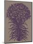 Lilies, no. 14-Botanical Series-Mounted Giclee Print