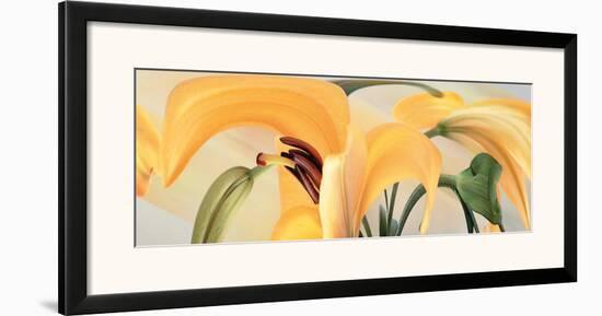 Lilies, no. 14-Huntington Witherill-Framed Art Print