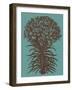 Lilies, no. 5-null-Framed Art Print