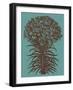 Lilies, no. 5-null-Framed Art Print