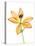 Lilies on a white background-Panoramic Images-Stretched Canvas