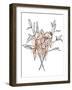 Lilies on Pink I-Emma Scarvey-Framed Art Print