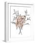 Lilies on Pink I-Emma Scarvey-Framed Art Print