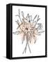 Lilies on Pink II-Emma Scarvey-Framed Stretched Canvas