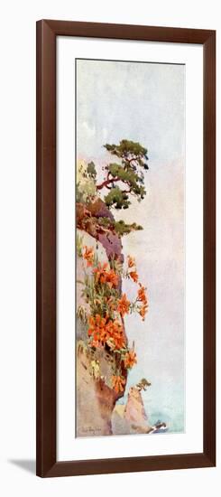 Lilies on the Rocks, Atami-Ella Du Cane-Framed Giclee Print