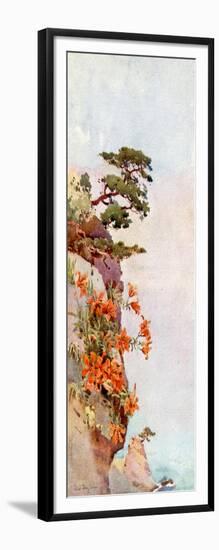 Lilies on the Rocks, Atami-Ella Du Cane-Framed Giclee Print