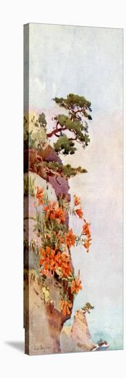 Lilies on the Rocks, Atami-Ella Du Cane-Stretched Canvas