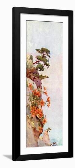 Lilies on the Rocks, Atami-Ella Du Cane-Framed Giclee Print