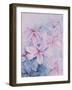 Lilies, Pink Auratum-Karen Armitage-Framed Giclee Print