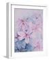 Lilies, Pink Auratum-Karen Armitage-Framed Giclee Print